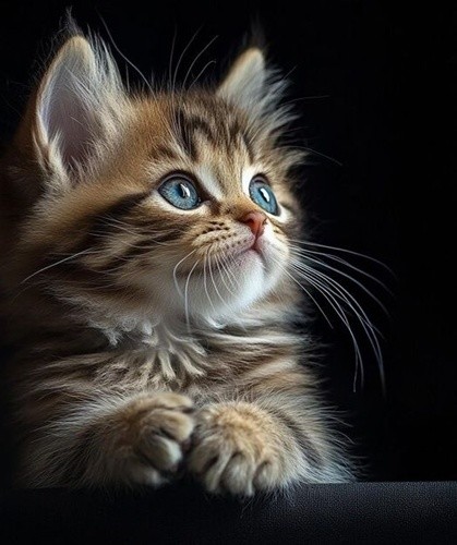 Quel type de chat sommeille en vous ?